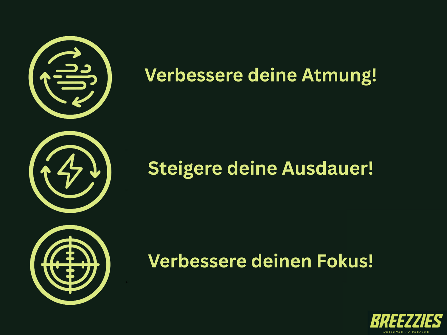 BREEZZIES Magnetic Nose Strip